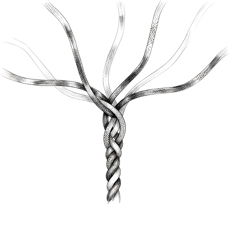 Seven strands coming together